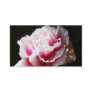Dainty Pink Carnation Flower Floral Business Business Card Templates