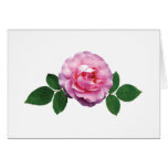 Dainty Pink Rose Dainty Pink Rose