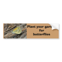 Dainty Sulphur butterfly bumper sticker bumper stickers
