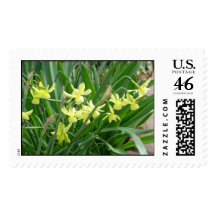 Dainty Yellow Daffodils Postage Stamp
