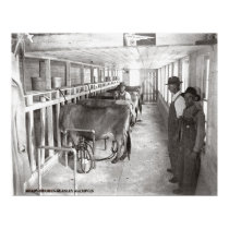 Dairy Barn posters