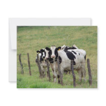 Dairy Cattle Custom Invitations