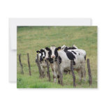 Dairy Cattle Custom Invitations