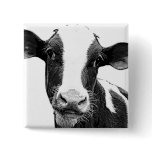 Dairy Cow - Black and White Dairy Calf Pinback Button