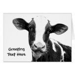 Dairy Cow - Black and White Dairy Calf cards