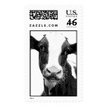 Dairy Cow - Black and White Dairy Calf Postage Stamps