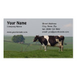 Dairy Cow Business card