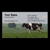 Dairy Cow Business card business cards
