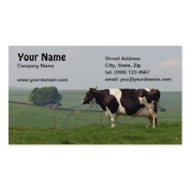 Dairy Cow Business card