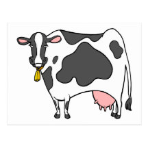 Dairy Cow Cartoon Postcard