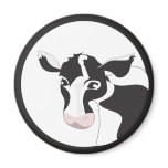 dairy cow magnets