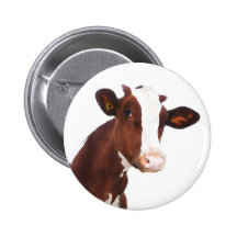 Dairy Cow -  Painted Brown & White Holstein Pinback Button