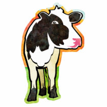 Dairy Cow