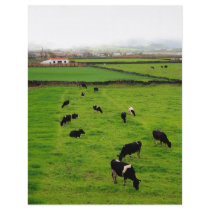 Dairy Farm Custom Flyer