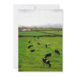 Dairy Farm Announcement