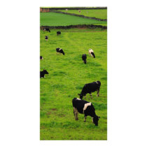 Dairy Farm Photo Greeting Card