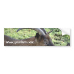 Dairy goat advertising sticker bumper sticker