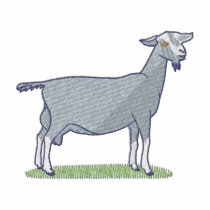 Dairy Goat embroidered shirts by ZazzleEmbroidery Dairy Goat embroidered shirts