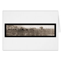 Dairy Herd Arizona Photo 1913 cards