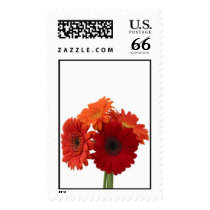 daises postage