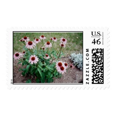 daisey postage by lkpublishing