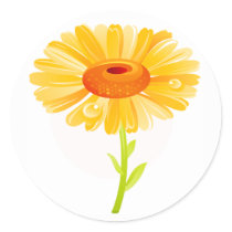 DAISEY STICKER