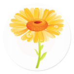 DAISEY STICKER