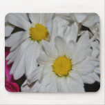 Daisies-0048 Mousepads