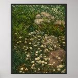 Daisies - Adirondack Mountain Wild Flowers Print