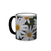 Daisies After Rain/ Mug