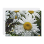 Daisies After the Rain; Gift Certificate Invites