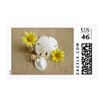 Daisies and Seashells on Sandy Beach Postage Stamp
