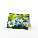 Daisies at the Pond Birthday cards