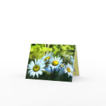 Daisies at the Pond Thank You cards