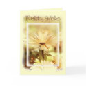 Daisies Birthday Card card