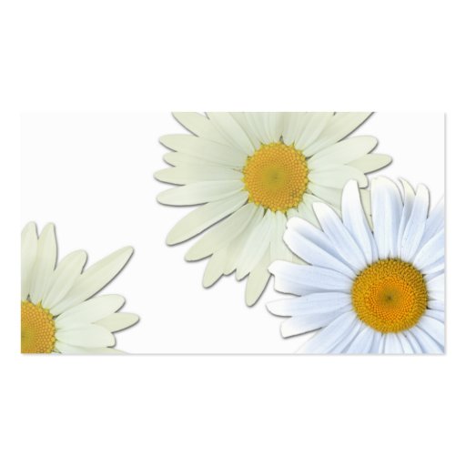 Daisies Business Card (back side)
