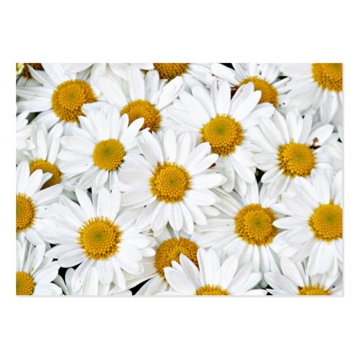 Daisies Business Card Template