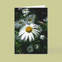 Daisies cards by blumoonart Daisies cards