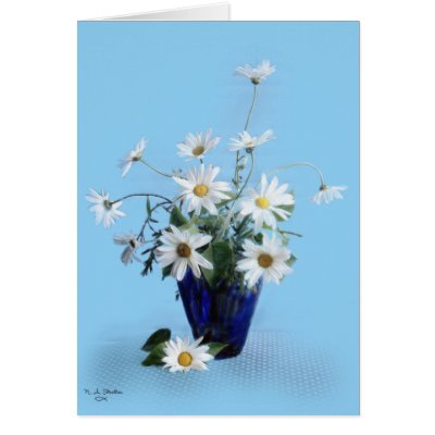 Daisies Card by 777Images