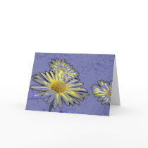 Daisies cards