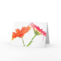 Daisies cards