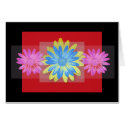 Daisies Card