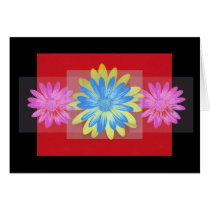 Daisies Card