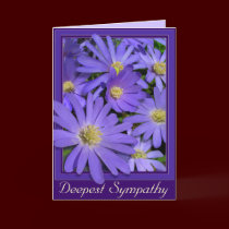 Daisies Card Blue Flowers Greeting Card Blank cards