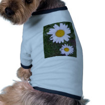 Daisies pet clothing by chemistrycourtney Daisies pet clothing