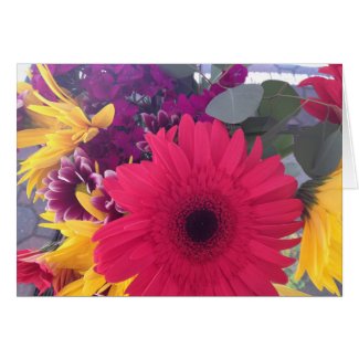 Daisies Flowers Beauty Greeting Card