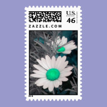 Daisies -Green Postage stamps