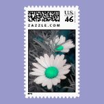 Daisies -Green Postage postage
