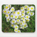 Daisies Hart 2 mousepads by KLaima Daisies Hart 2 mousepads