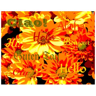 Daisies Hello Postcard postcard